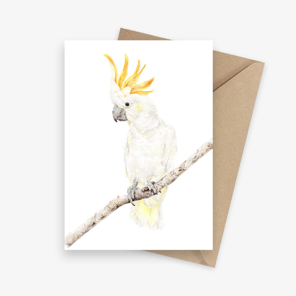 Greeting card featuring an Australian yellow-crested cockatoo.
