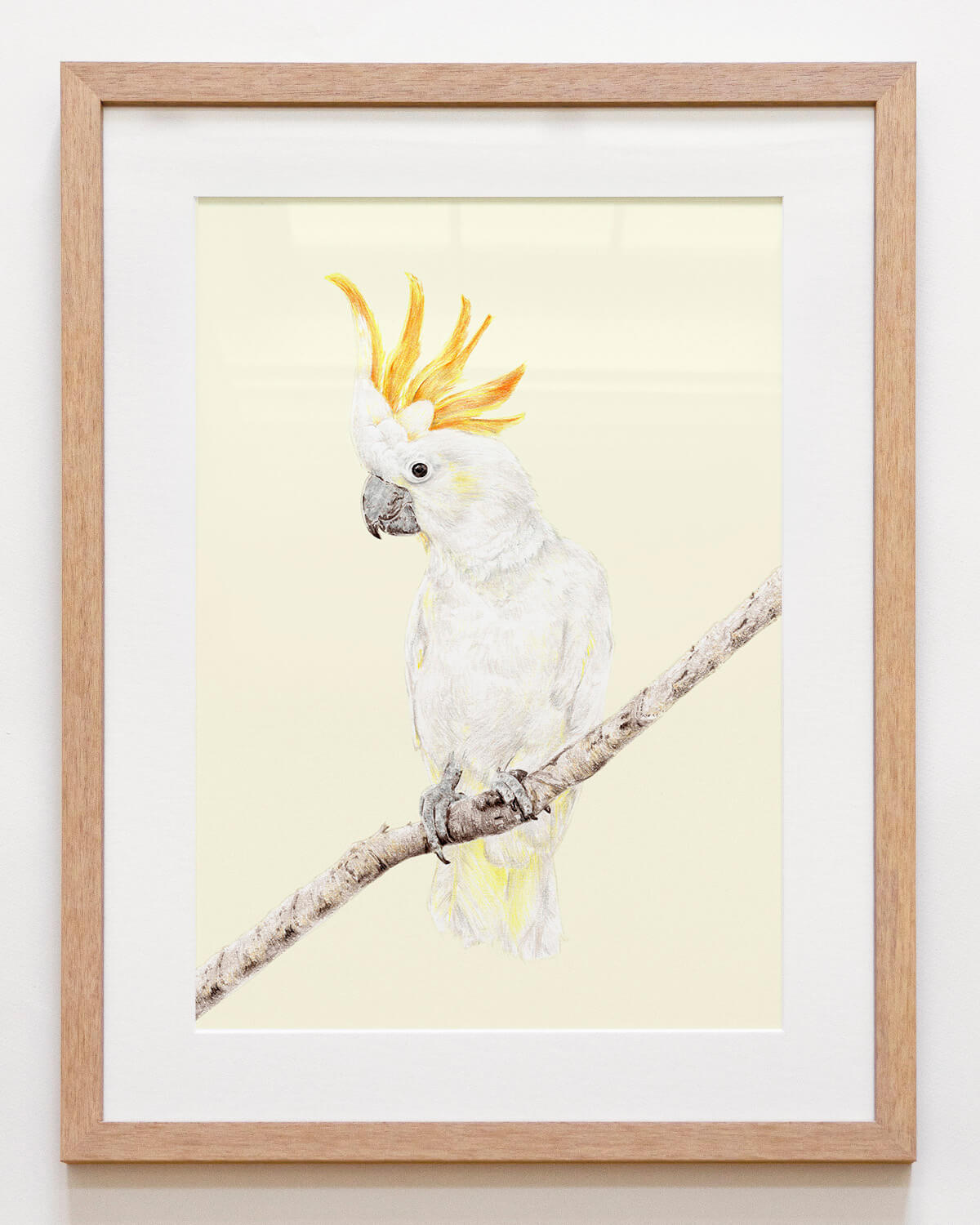 Framed bird art print of an Australian cockatoo