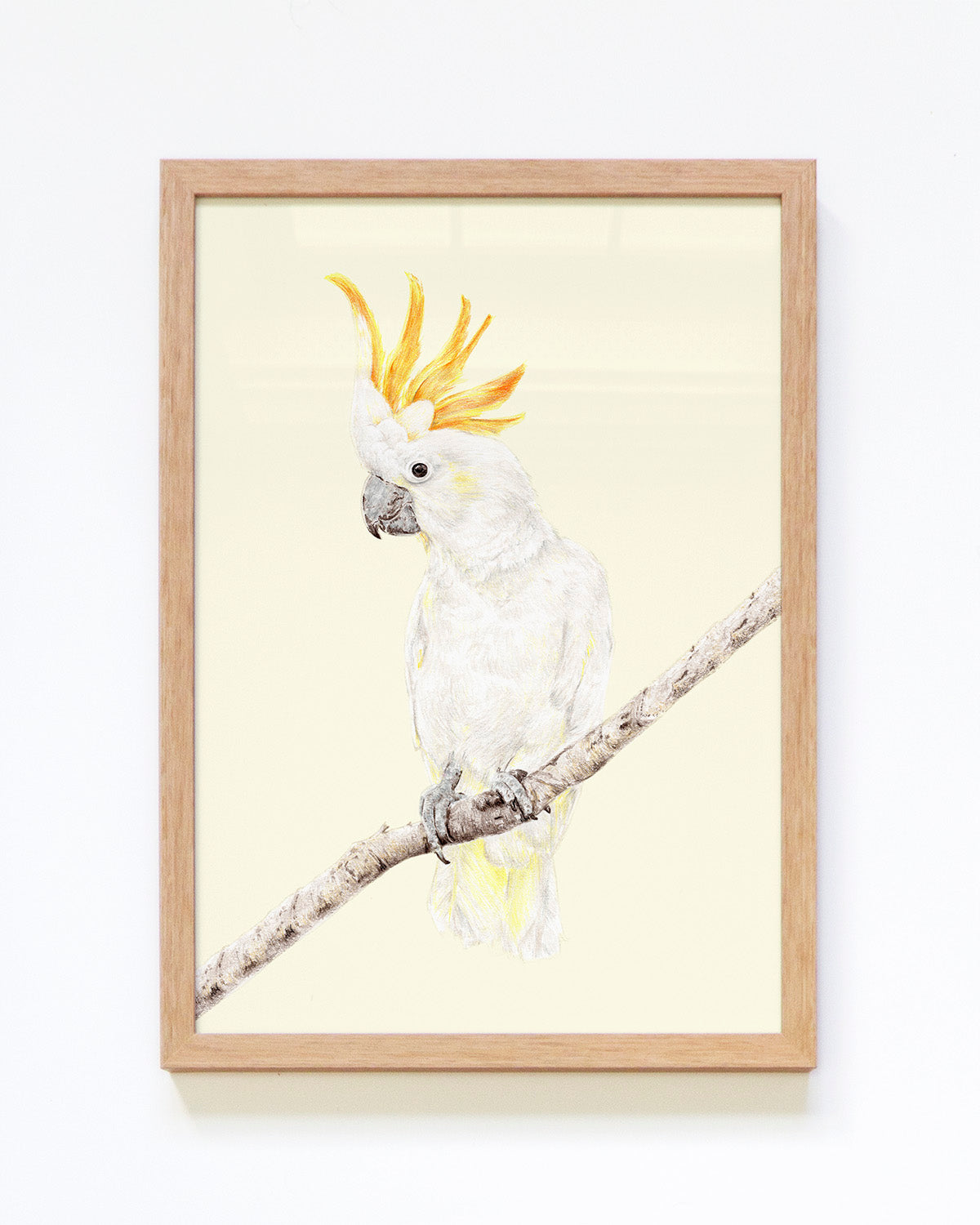 Bird art print featuring a cockatoo