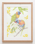 Australian backyard bird wall print by Carmen Hui