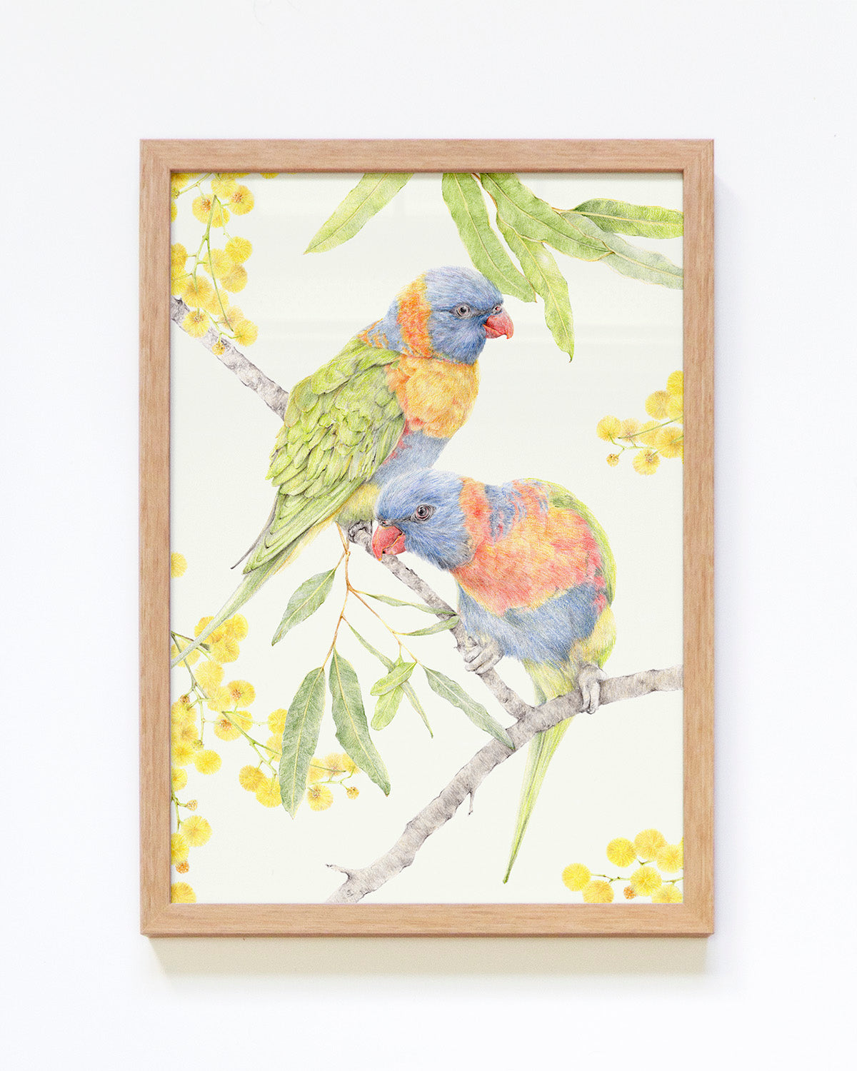 Native Australian bird art print of two Rainbow Lorikeets by Carmen Hui