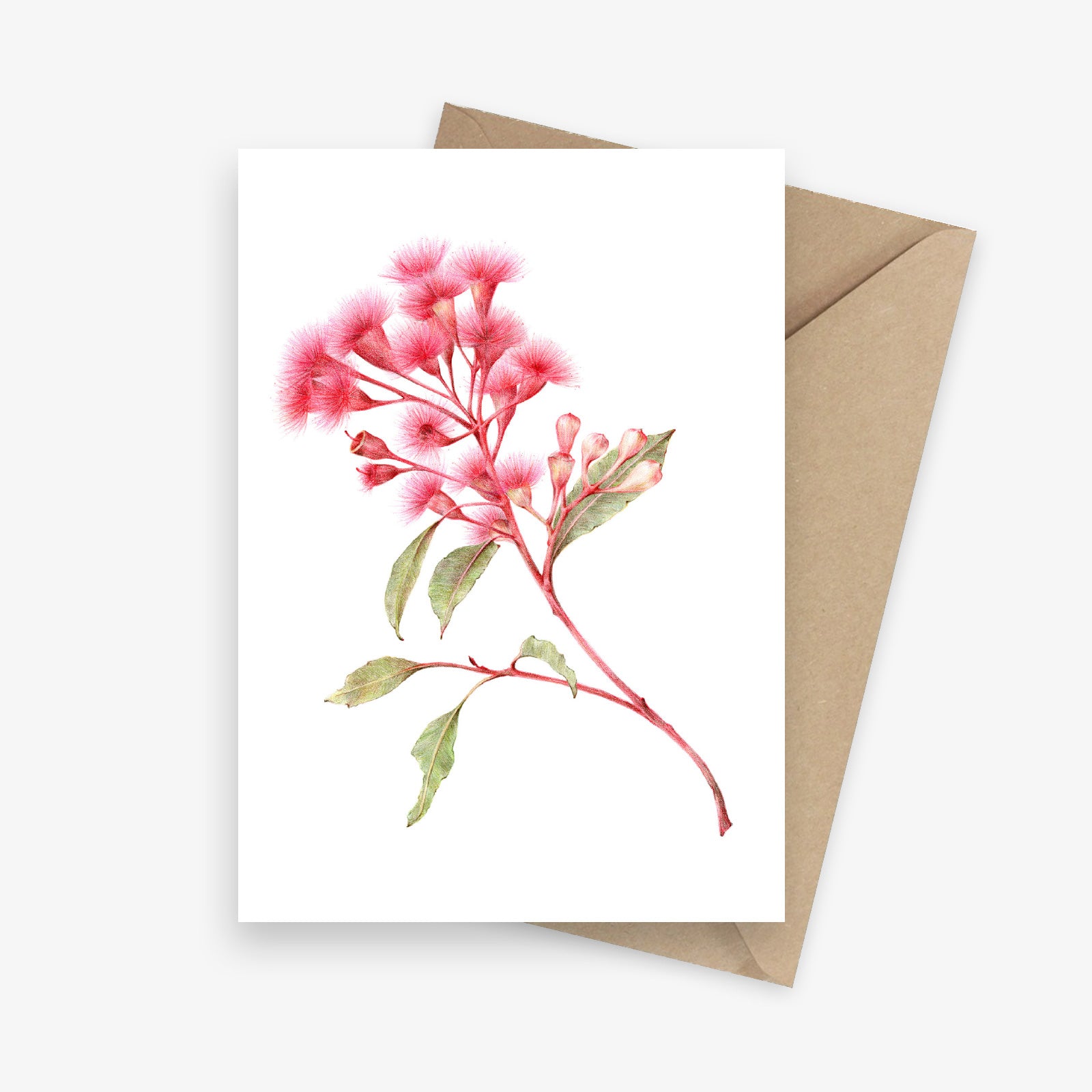 Flowering Red Gum Australian Native Botanical Greeting Card