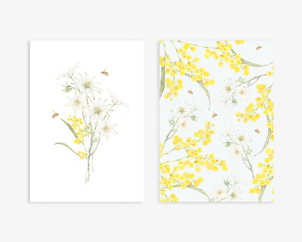 Botanical art print set featuring wattles and flannel flowers
