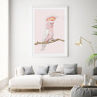 Living room art featuring an Australian native bird drawing