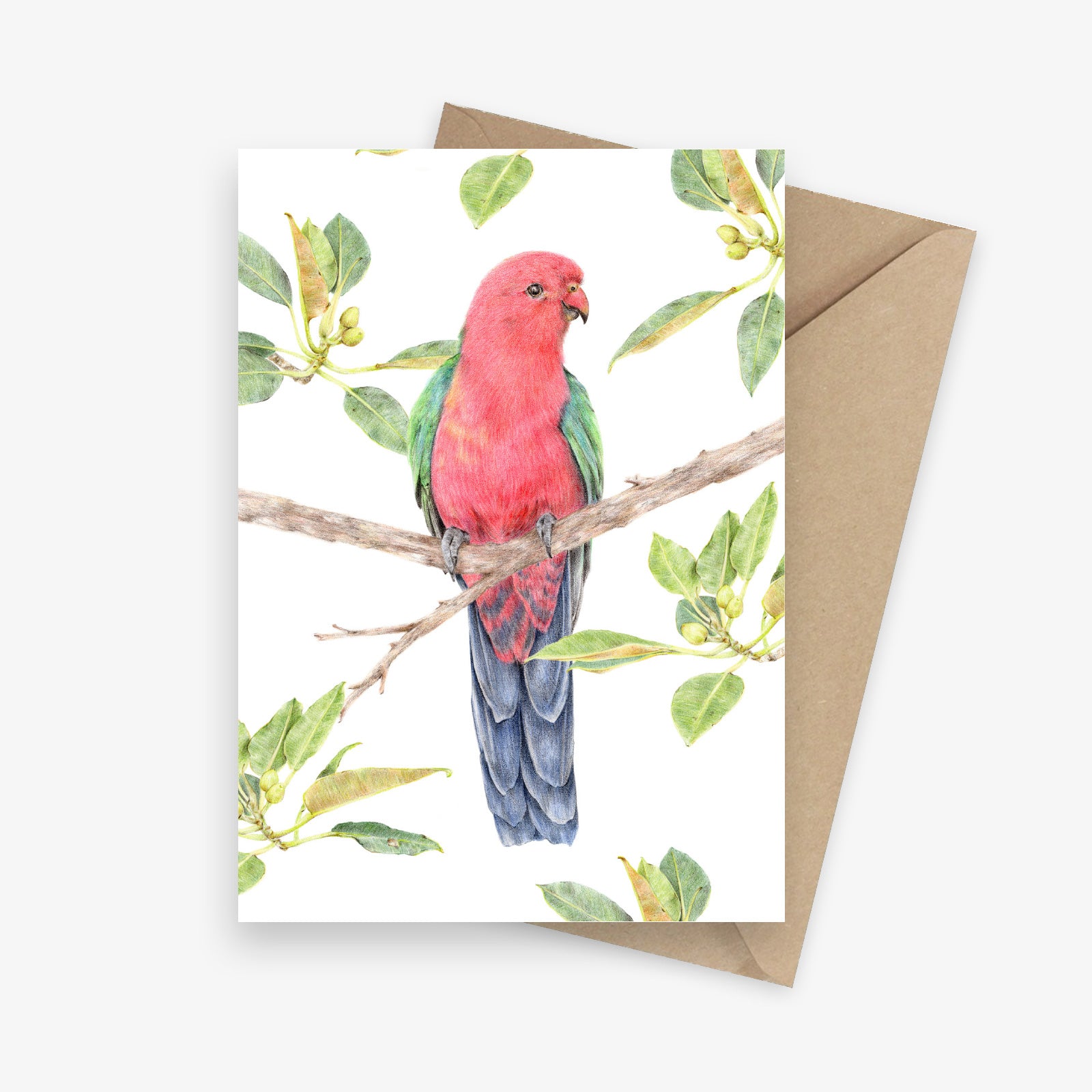 King Parrot: Australian Bird Greeting Card