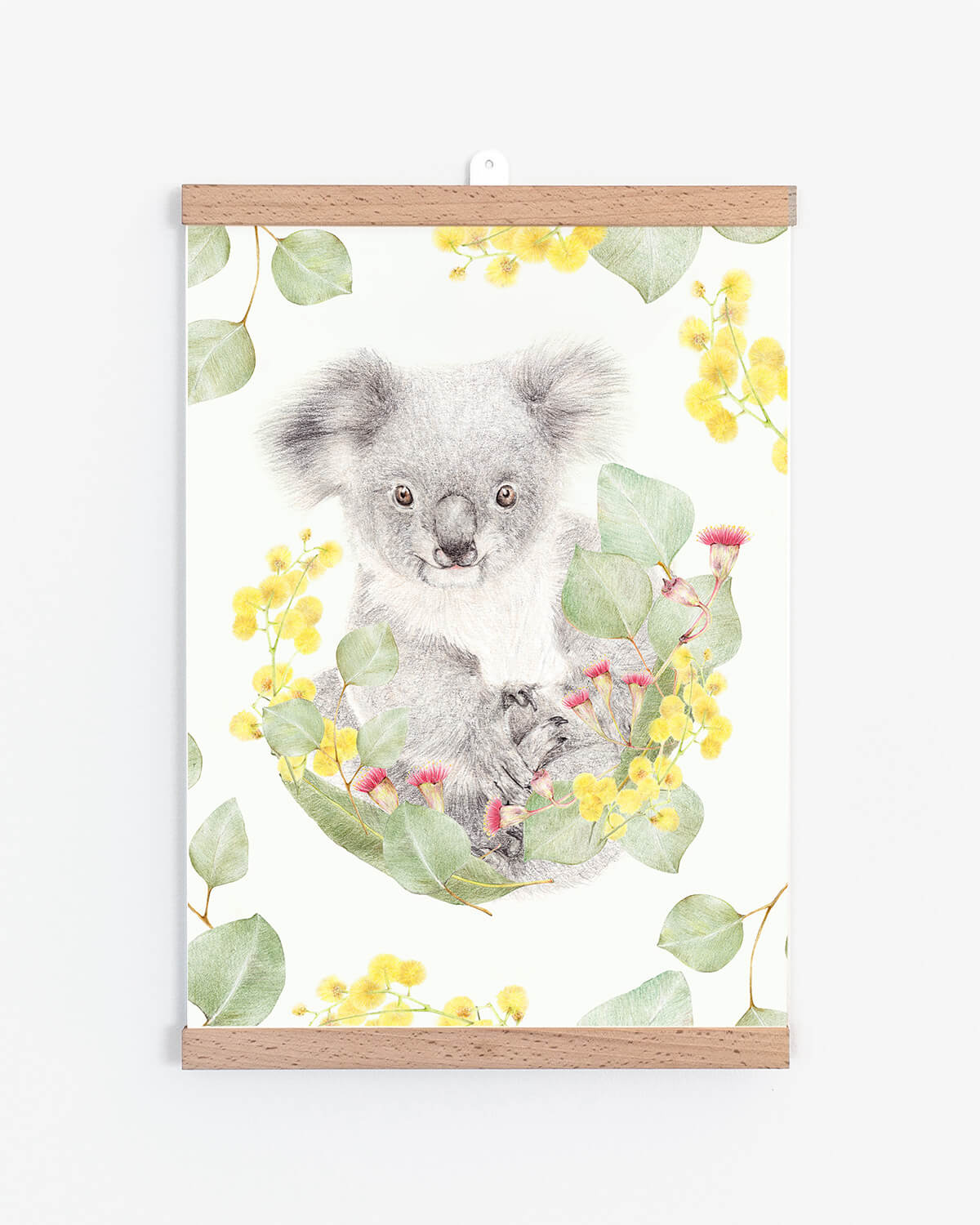 unique wall art print of Koala with Gum leaves and 