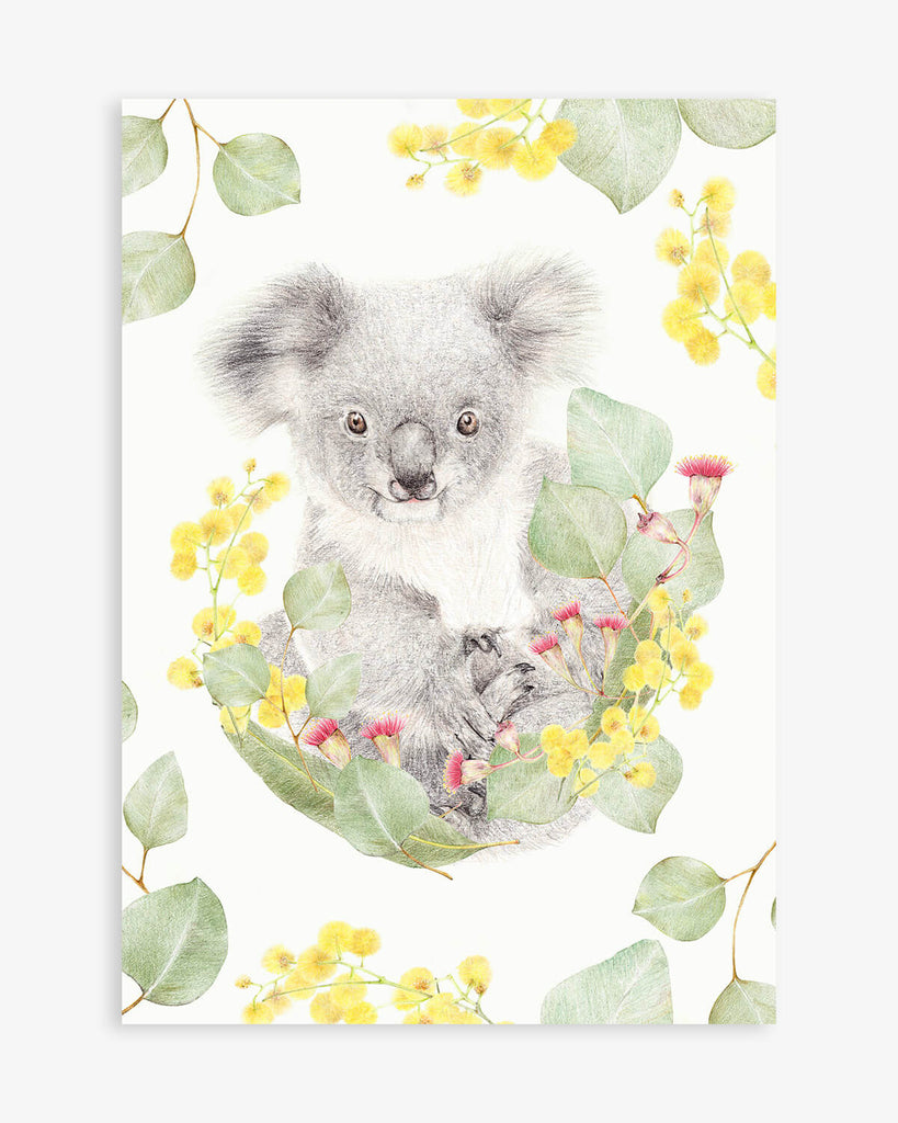 Art Print of Koala with flowering gum leaves. Reproduction of original coloured pencil drawing by Carmen Hui