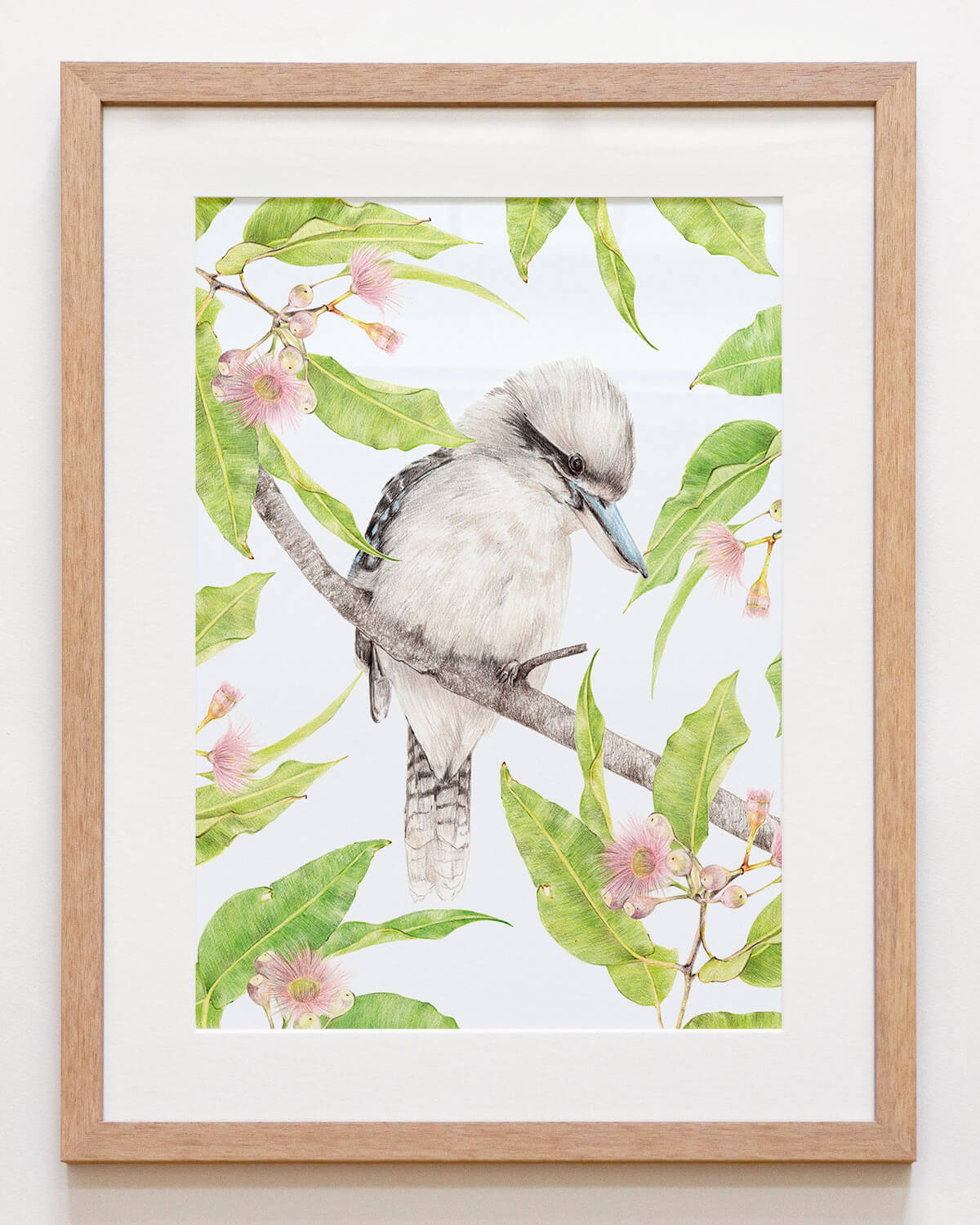 Australian bird art featuring a kookaburra and native flowers