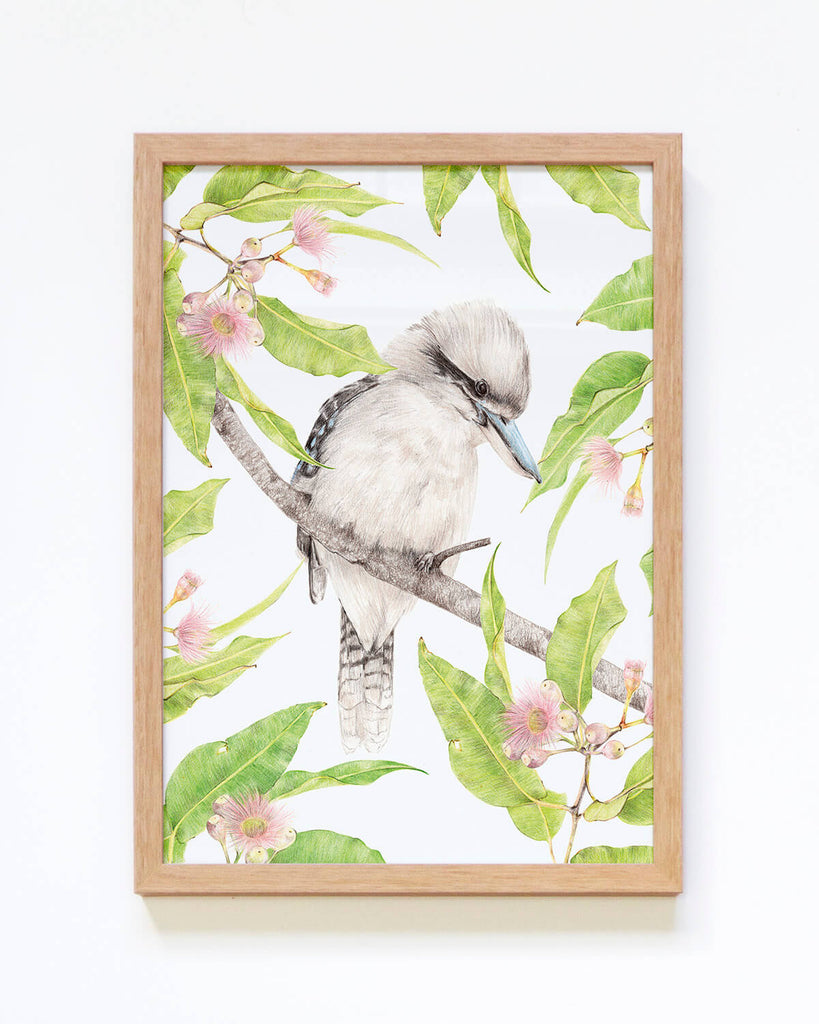 Beautiful art print of Australian Native bird the Kookaburra