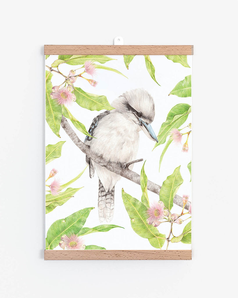 A kookaburra sits in the old gum tree