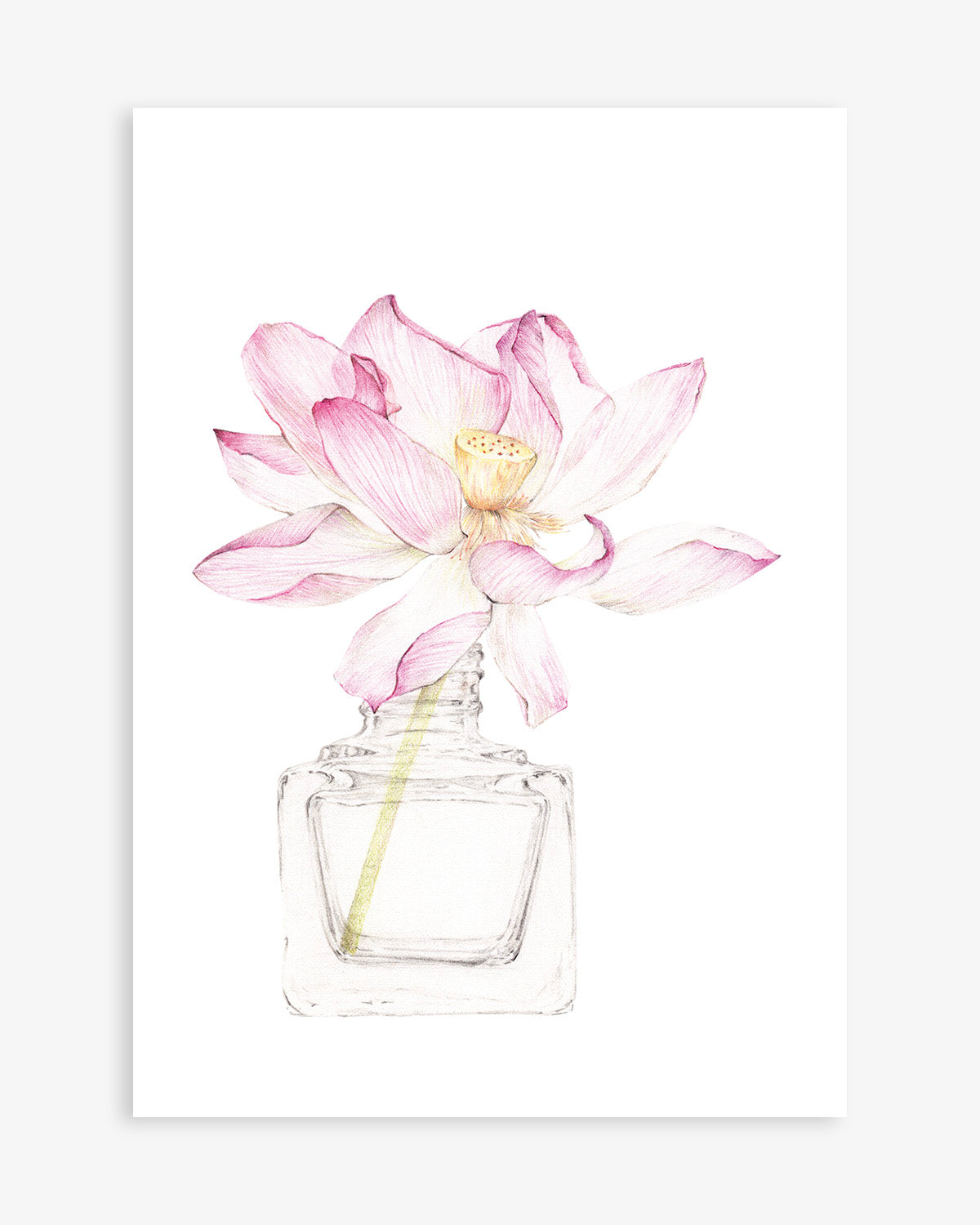 My favourite top scent