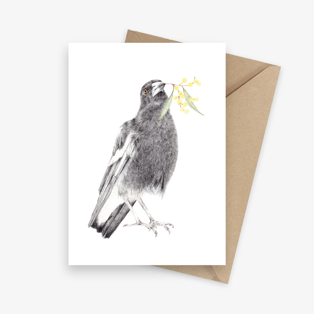 Greeting card featuring an Australian magpie with a sprig of wattle.