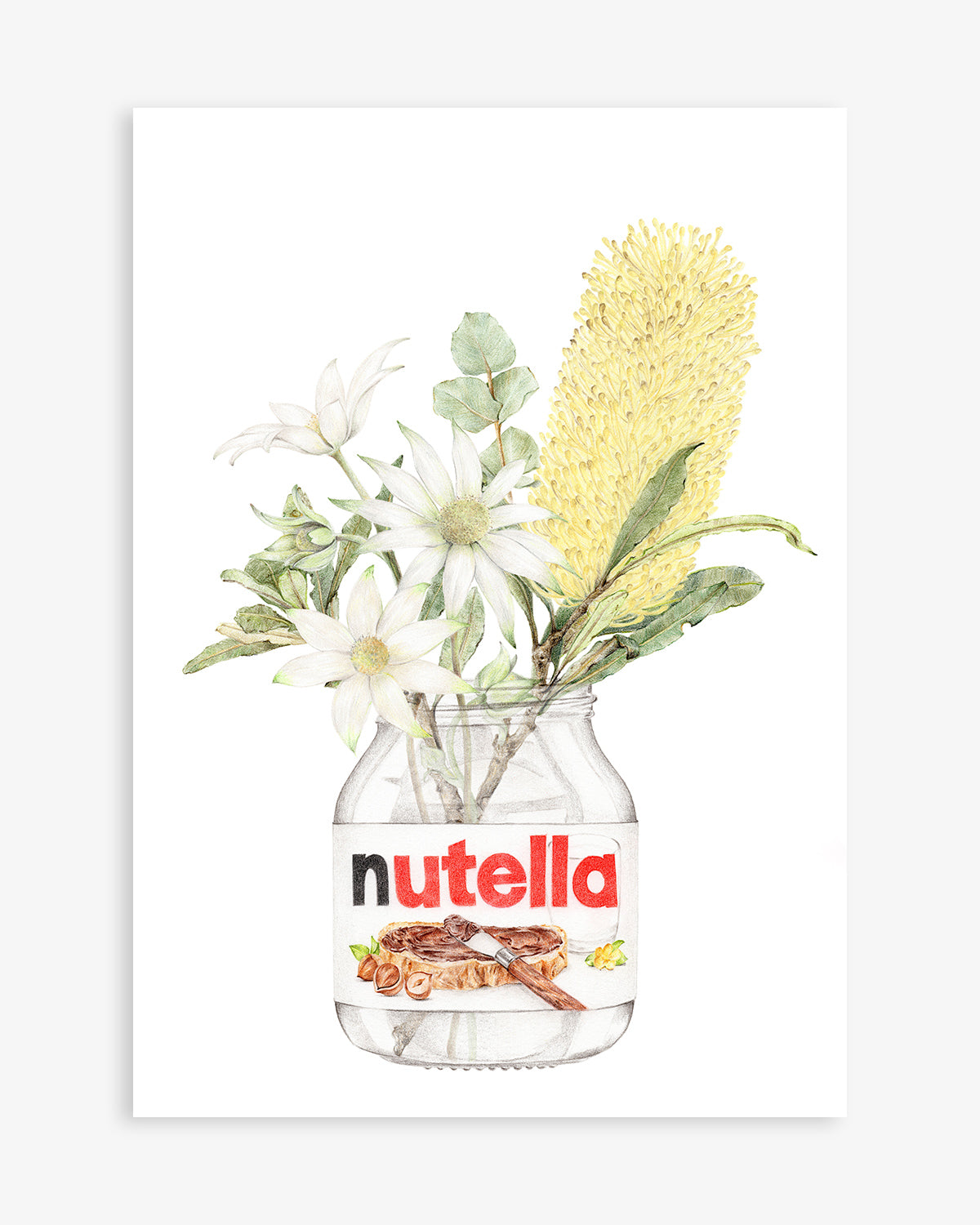 Nutella with Banksia botanical art print