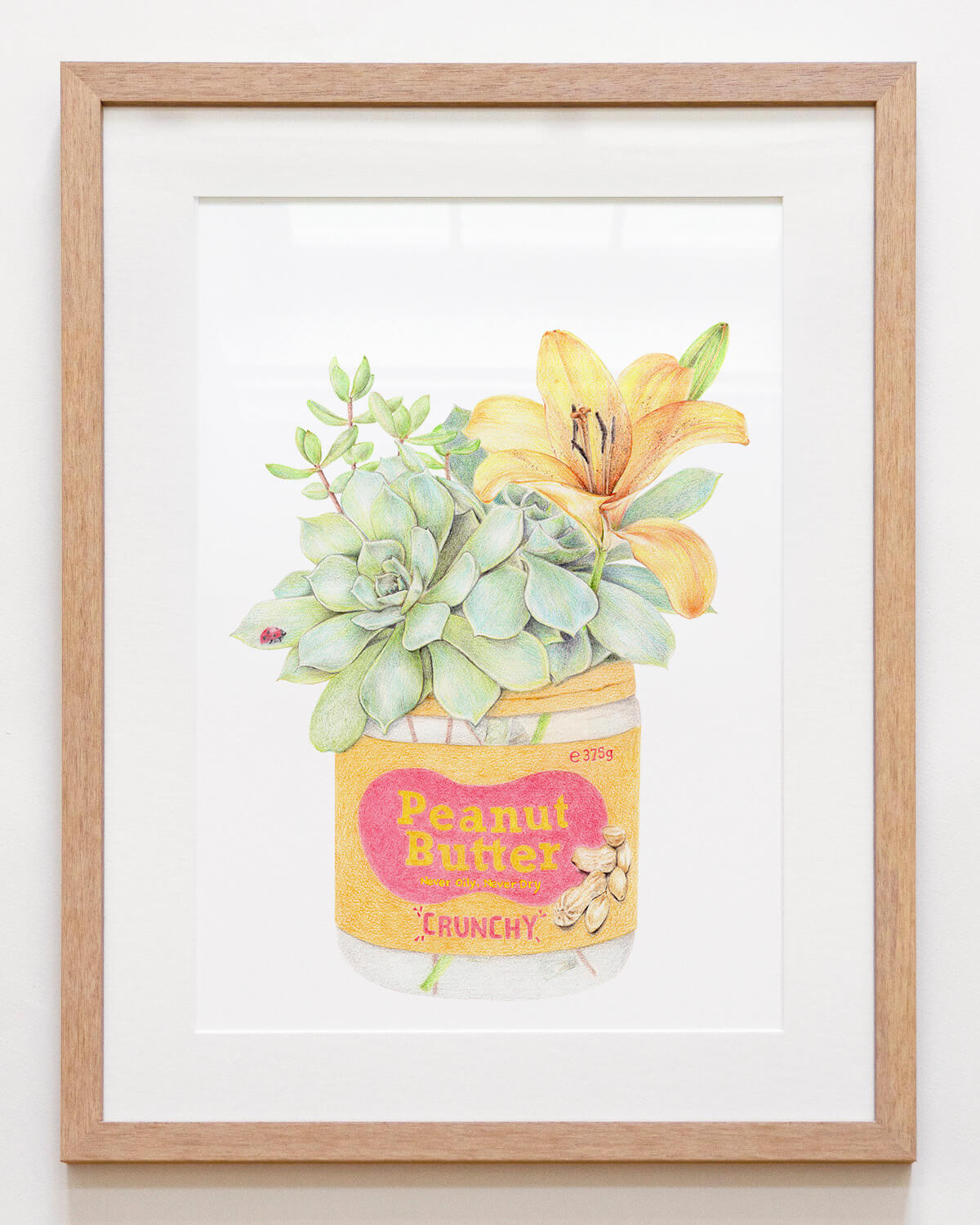 Australian wall art featuring peanut butter and succulents