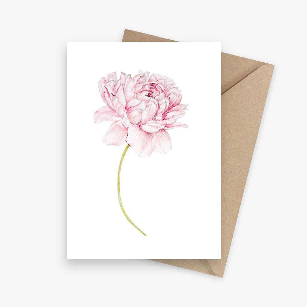 Single illustrated greeting card featuring a pink peony flower.