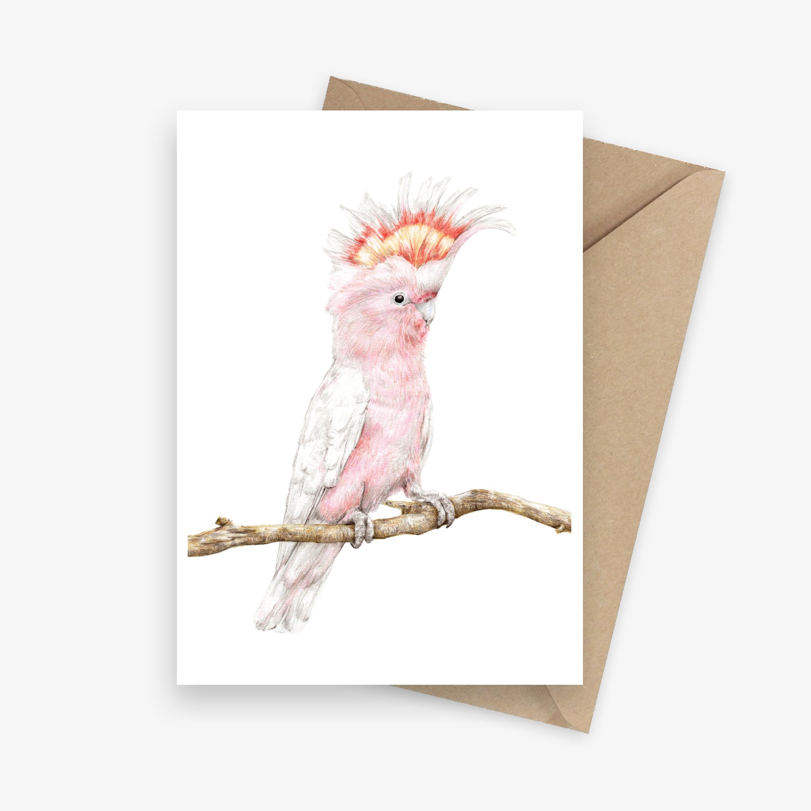 Greeting card featuring an Australian pink cockatoo.