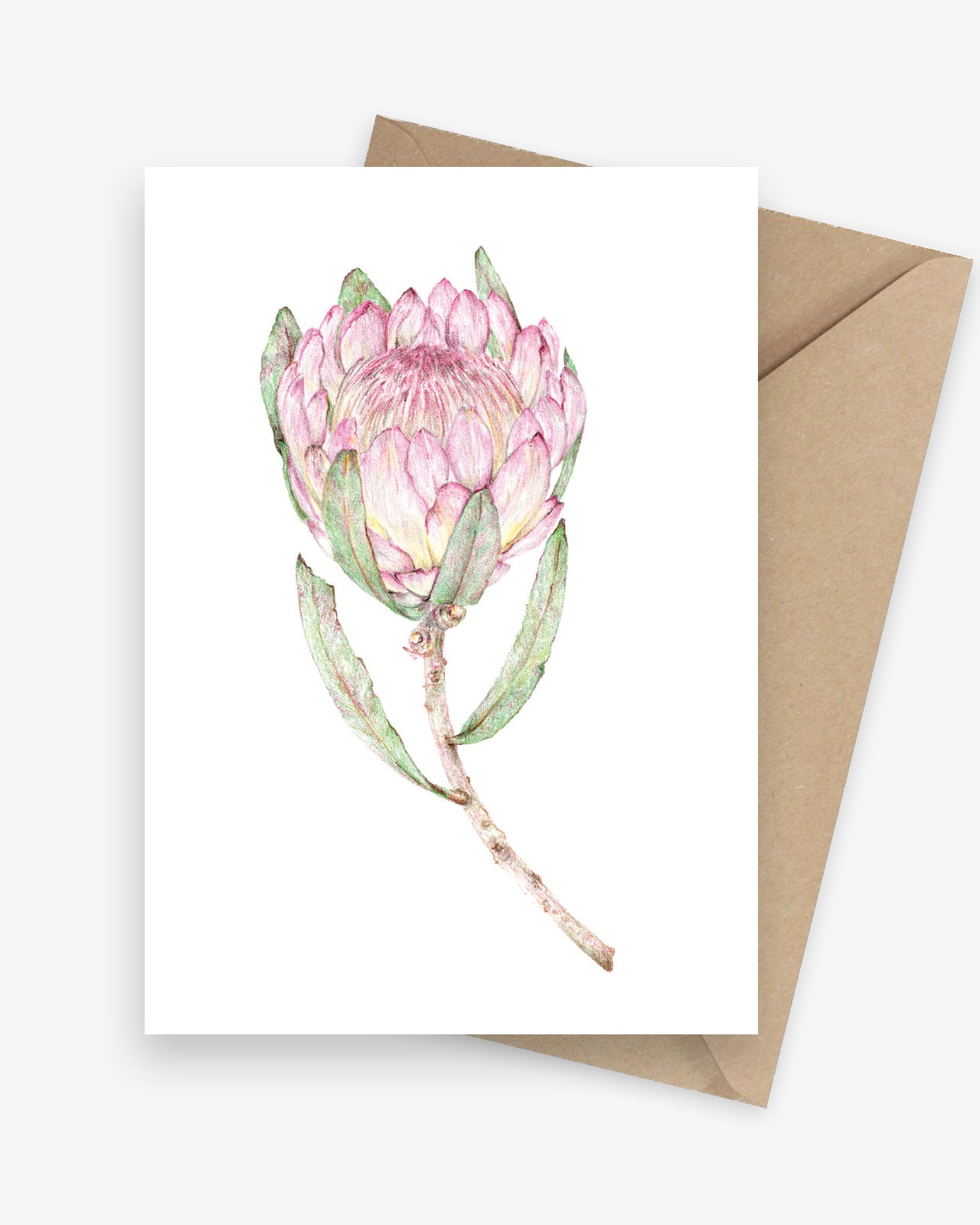 Protea Greeting Card