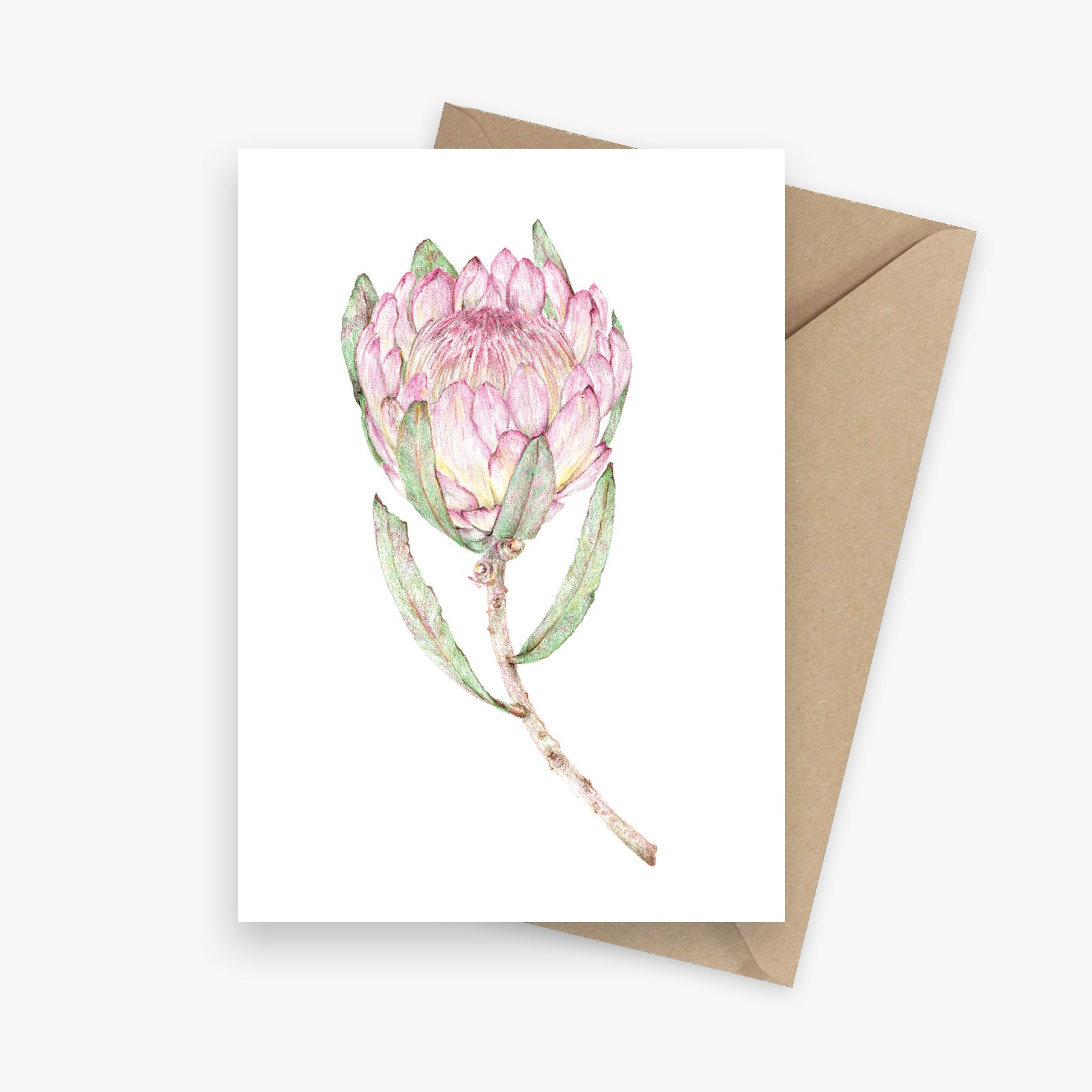 Protea Greeting Card