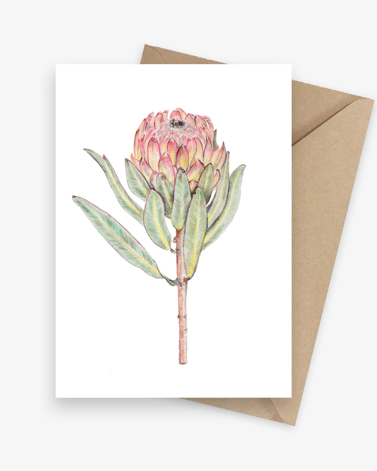 Greeting card featuring a protea flower.