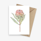 Greeting card featuring a protea flower.