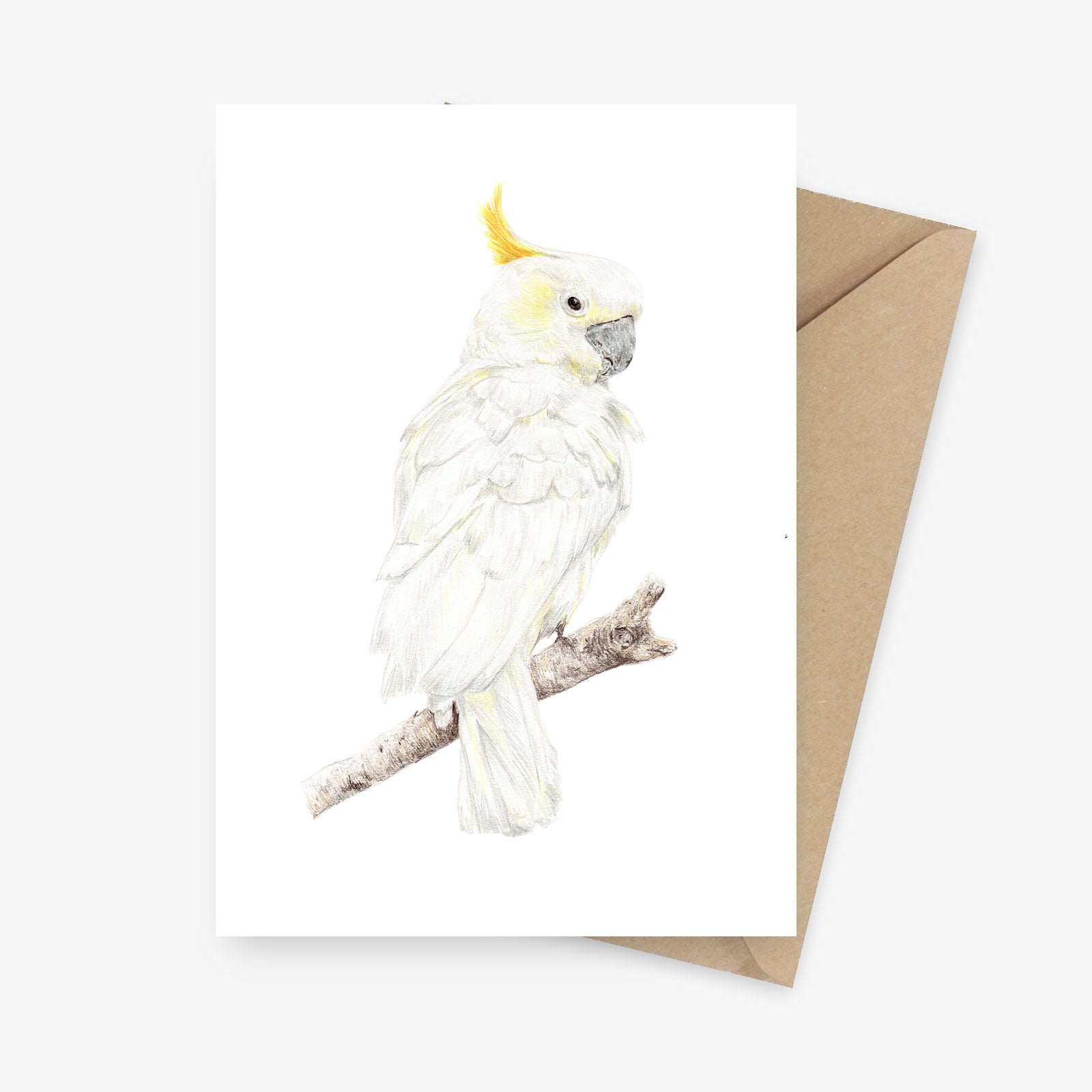 Greeting card featuring a sulphur-crested cockatoo.