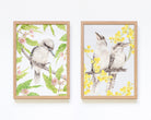 Set of 2 framed Australian kookaburra wall art