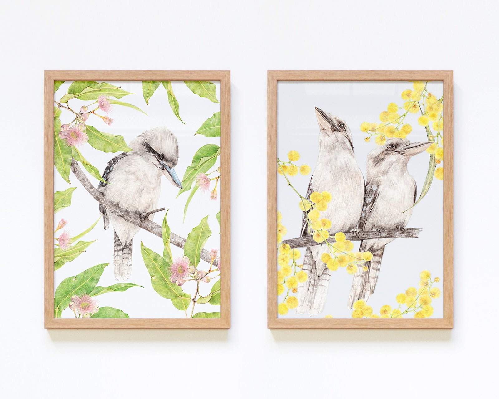Set of 2 framed Australian kookaburra wall art
