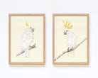 Set of 2 framed wall art with cockatoos