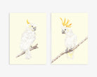 Set of 2 Australian bird art with cockatoos