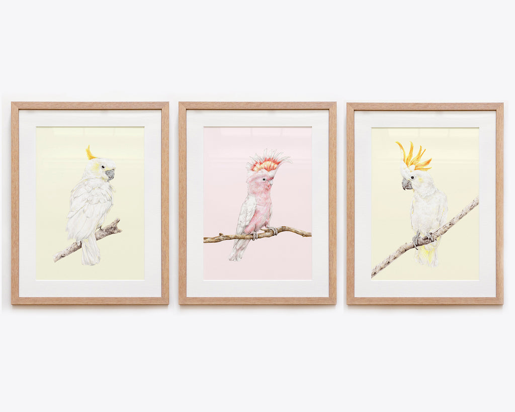 Australian Nursery Wall Art Set with cockatoos