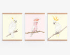 Set of 3 Australian Cockatoos Nursery Art Prints