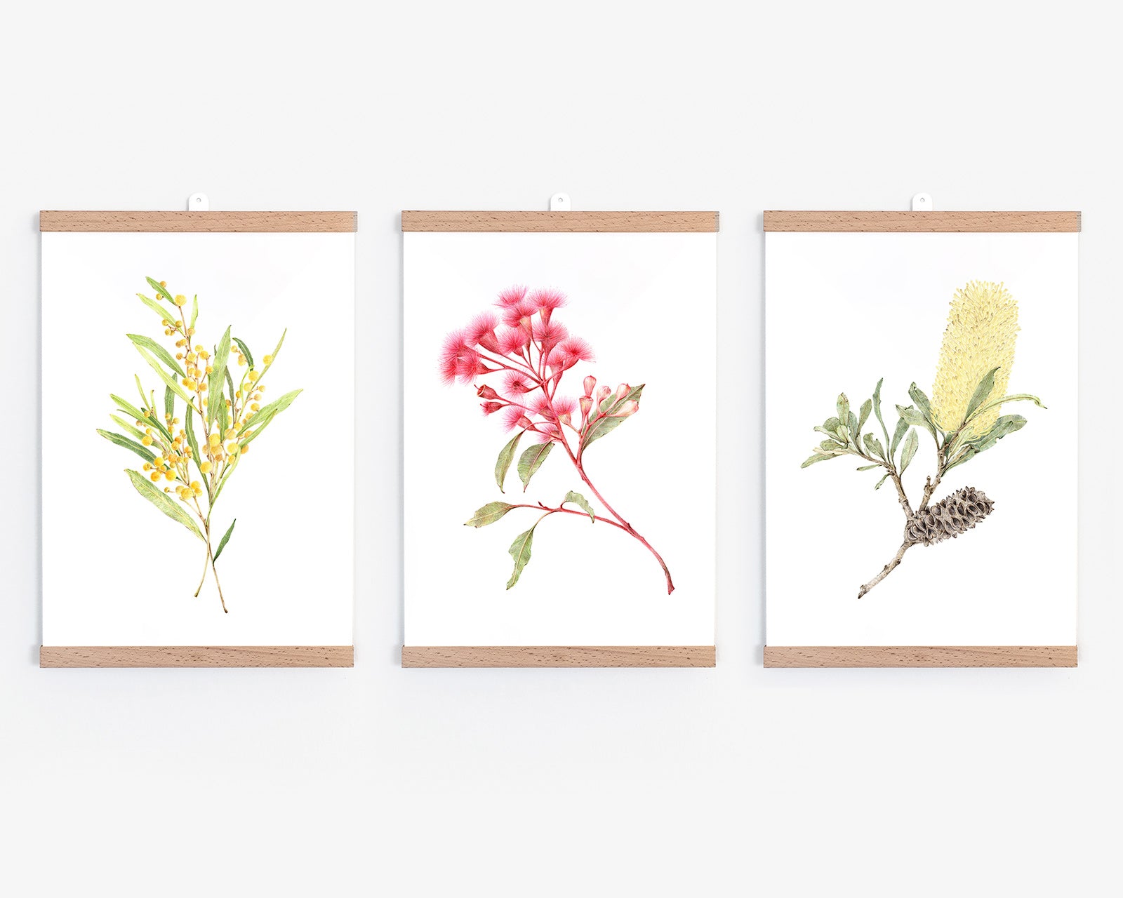 Australian Native Flowers Art Print Set