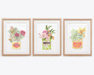 Set of 3 framed Australiana art prints with botanicals