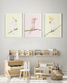 Set of 3 Cockatoos Nursery Wall Art