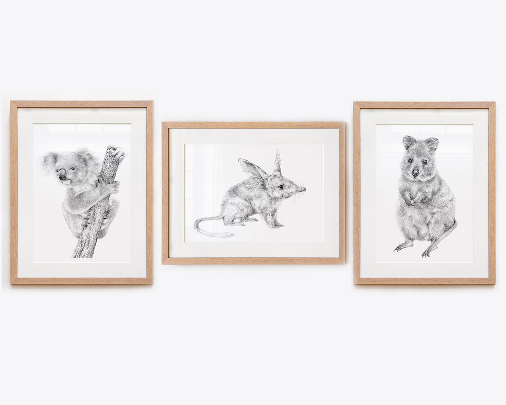 Australian Nursery Animal Art Framed Set