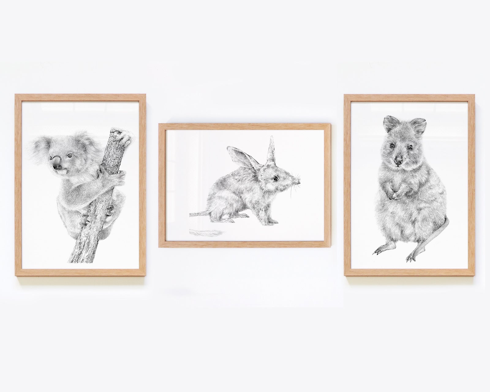 Set of 3 framed Australian Animal Nursery Art