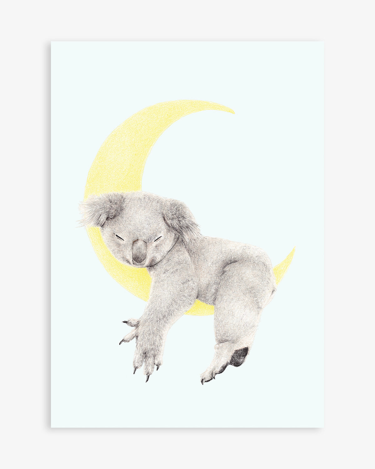Koala art print by Carmen Hui