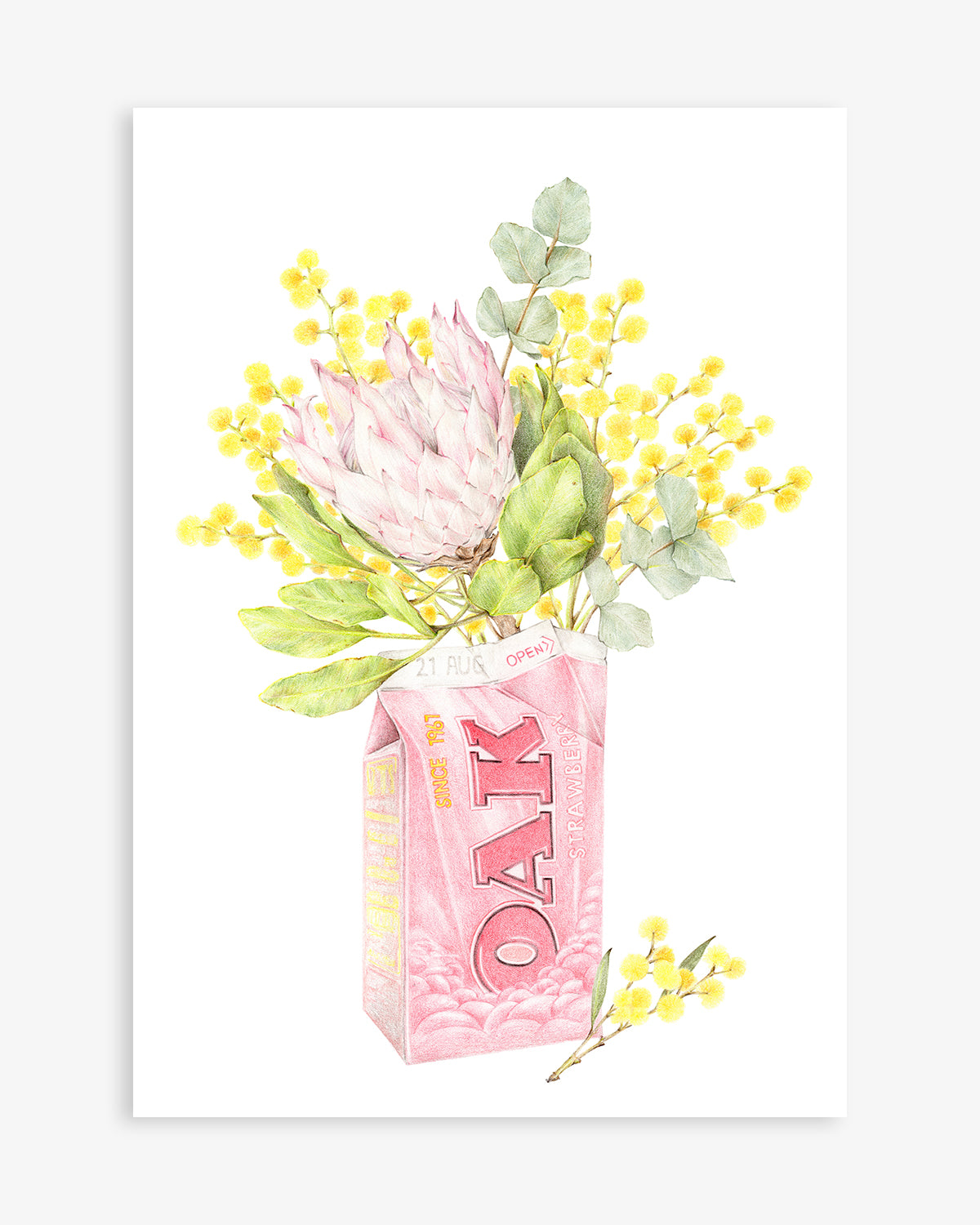 Australian art print featuring Oak strawberry milk with protea