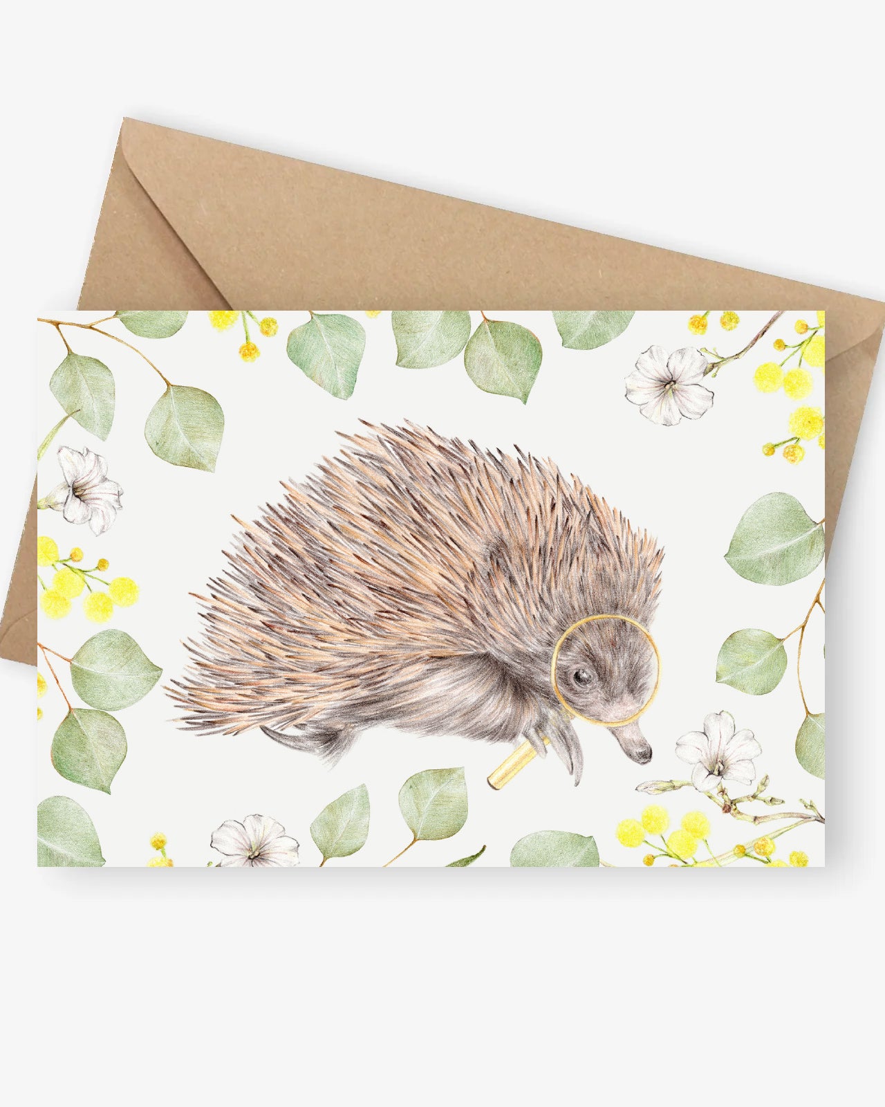 The Curious One-Australian echidna greeting card