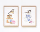 Framed Australian Native Bird art set with a double-barred finch and butchbird