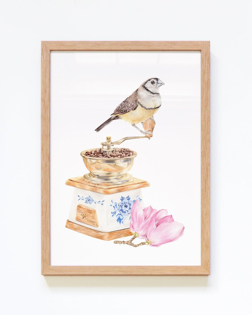 Double barred finch on a vintage coffee grinder framed art print