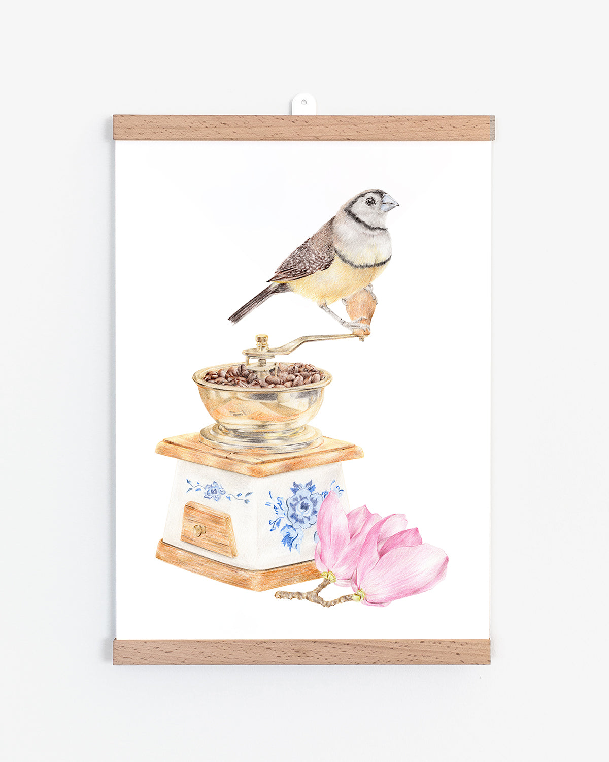 Double barred finch with a magnolia