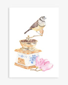 Double barred finch on a vintage coffee grinder with a magnolia