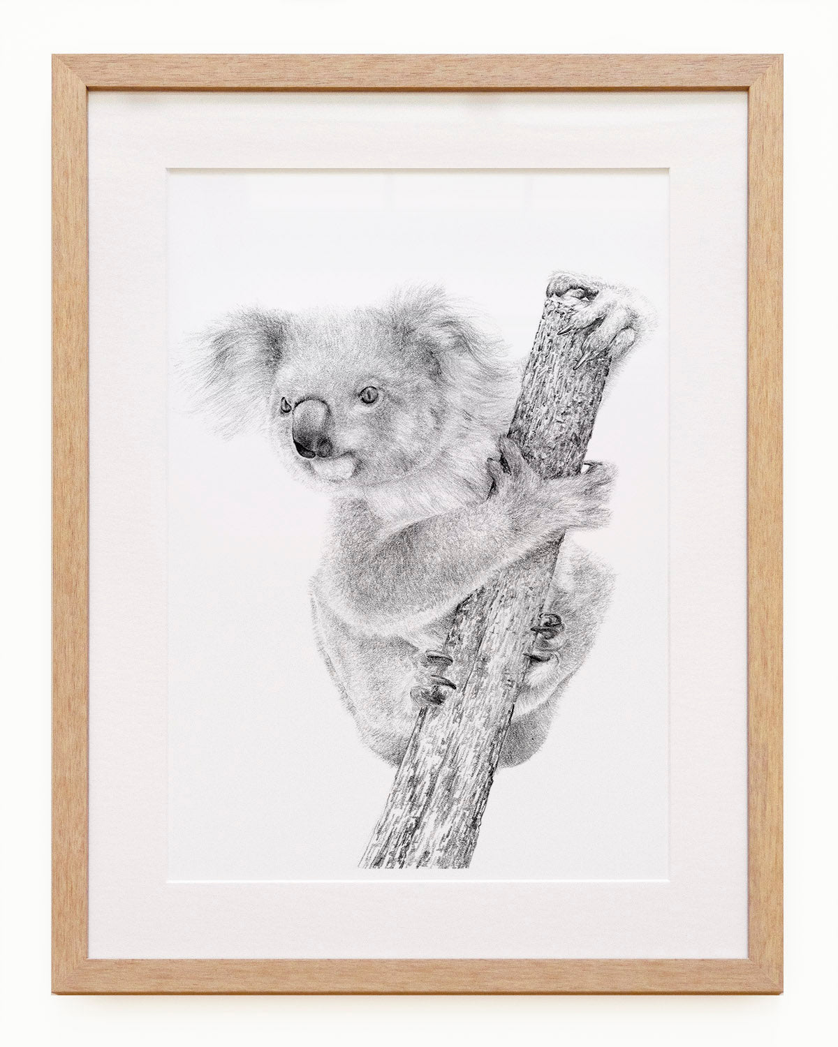 https://www.carmenhui.com/cdn/shop/products/ThomasKoala_FramewithMatBoard_AustralianartbyCarmenHui.jpg?v=1661302451&width=1200