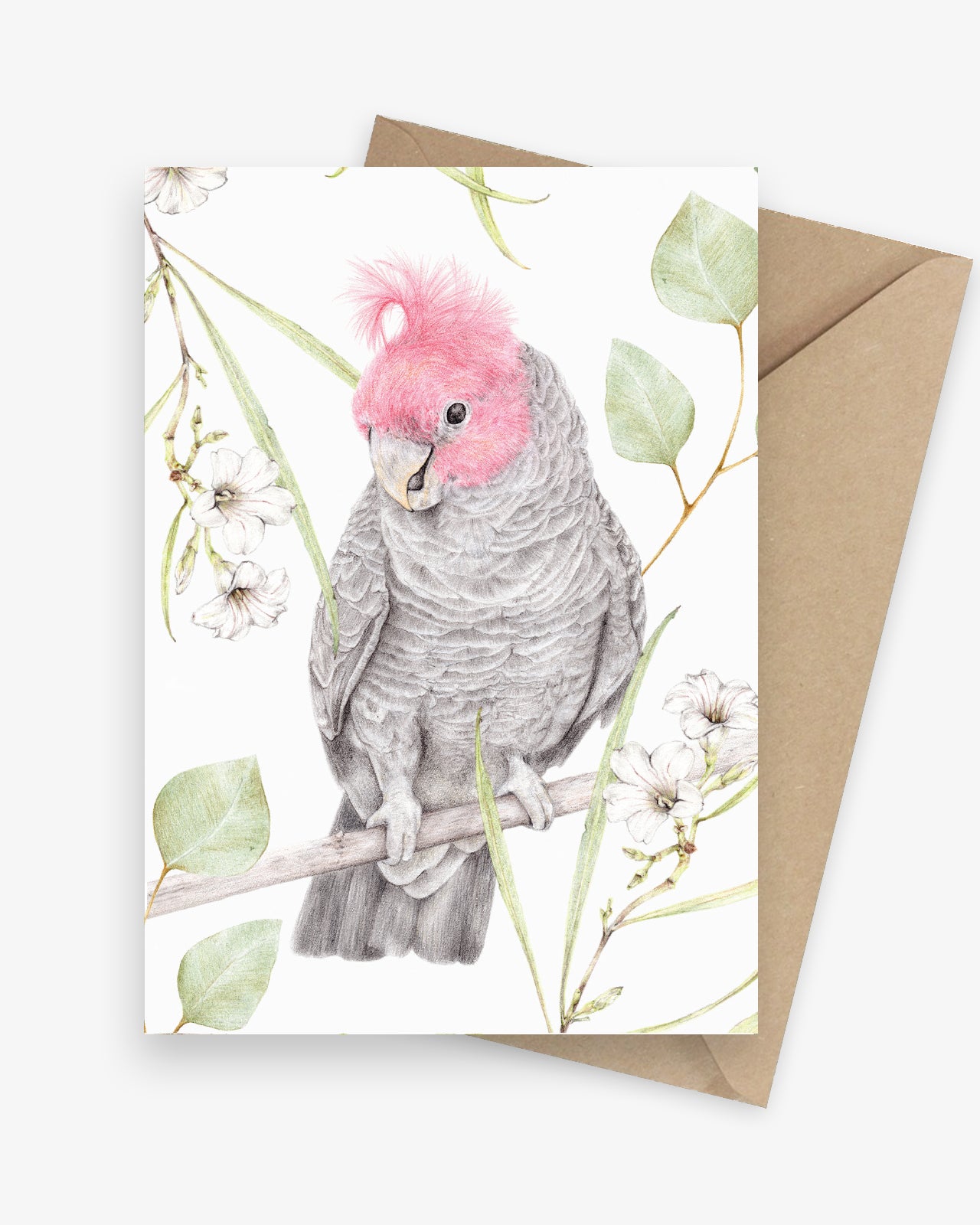 Illustrated greeting card featuring a gang gang cockatoo with Australian native flowers.