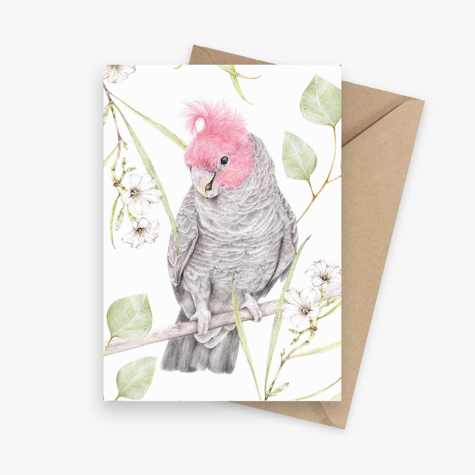 Illustrated greeting card featuring a gang gang cockatoo with Australian native flowers.