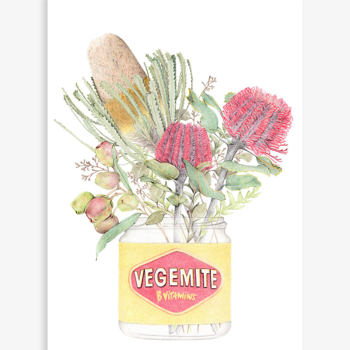 Vegemite with native Australian botanical print