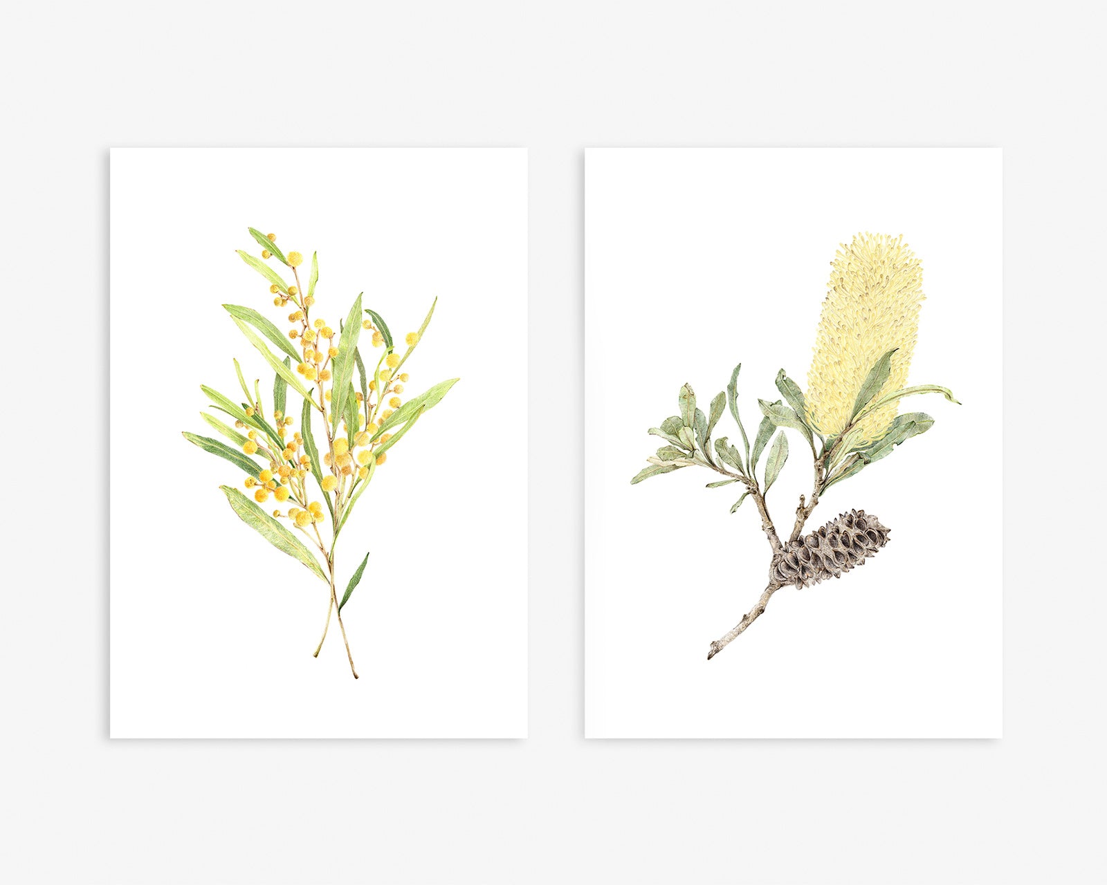 Set of 2 modern vintage botanical art prints