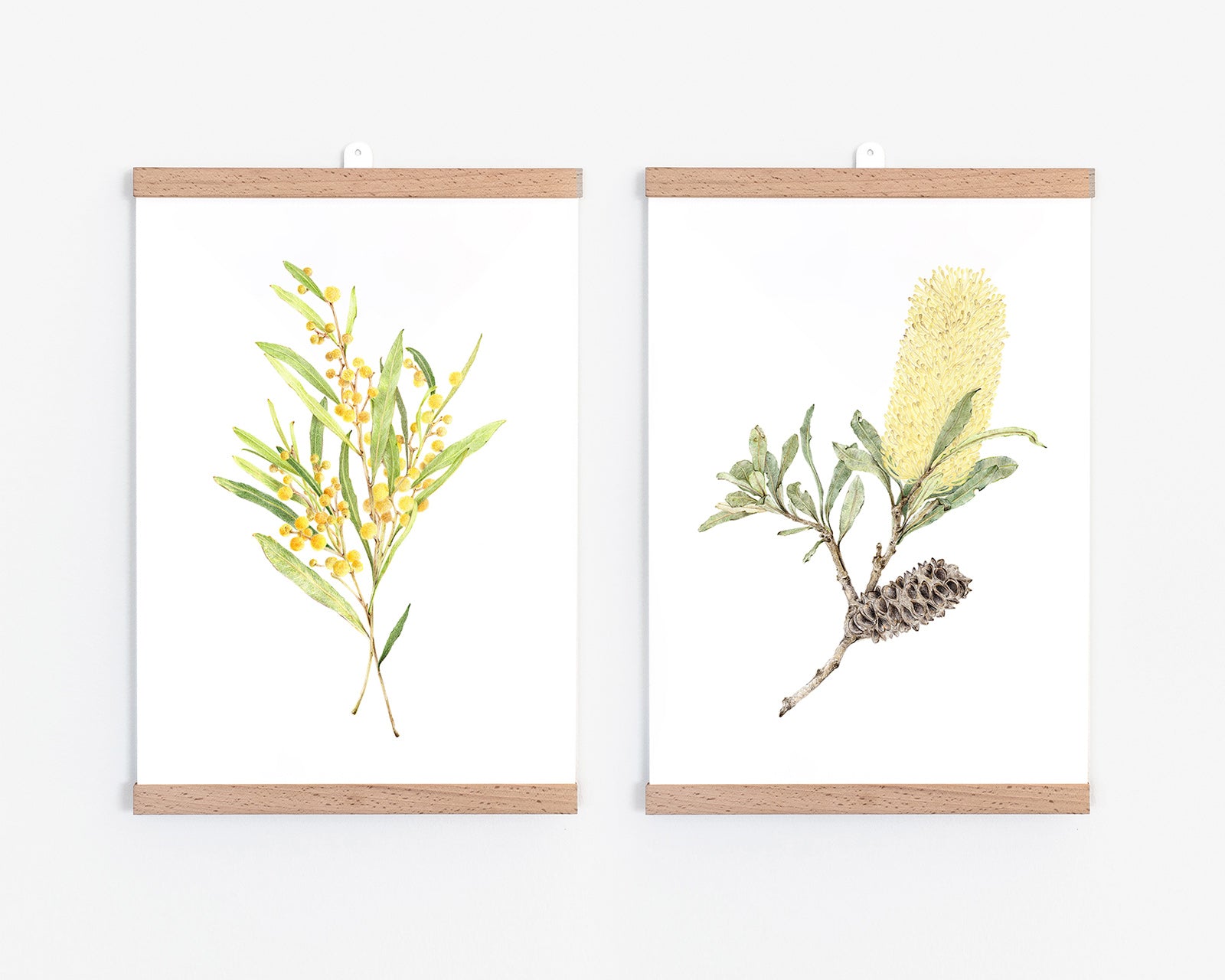 Set of 2 Australian botanical art prints