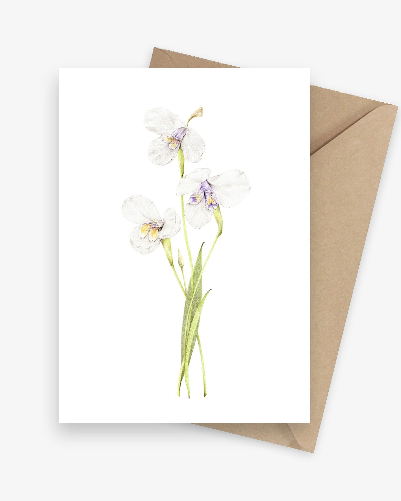 White Iris Australian Native Botanical Greeting Card